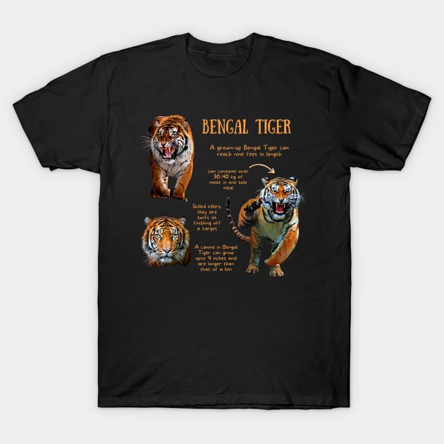 Animal Facts - Bengal Tiger T-Shirt by Animal Facts and Trivias